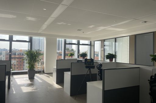 天然材料除甲醛，安全無毒更放心